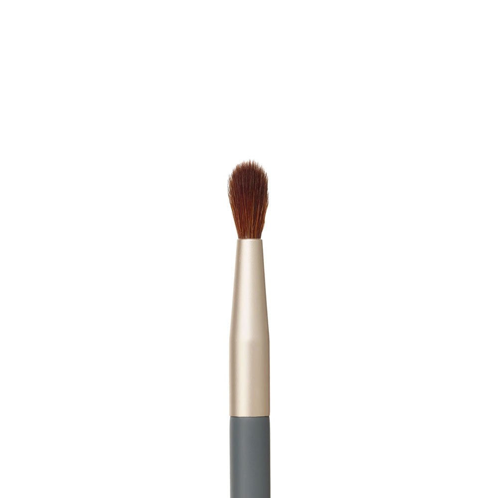 Detail Brush