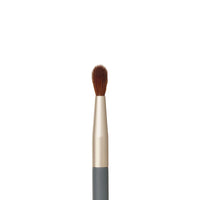 Detail Brush