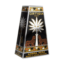 Douchegel | Ambra Nera (250 ml)