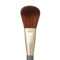 Powder Complexion Borstel