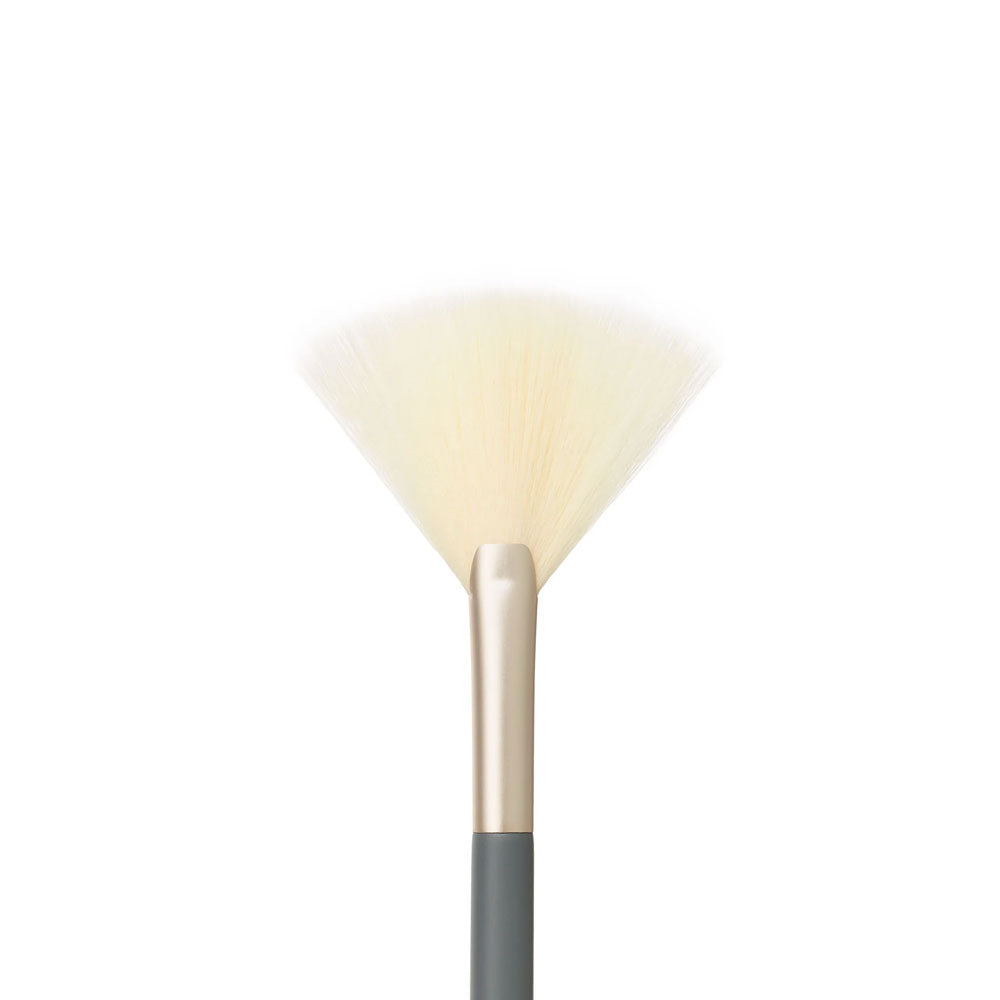 Fan brush 
