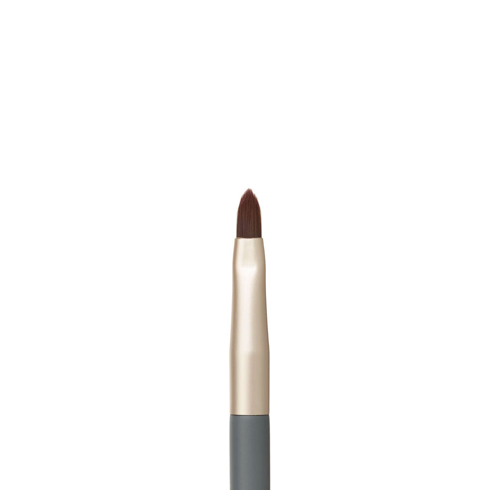 Lip Brush
