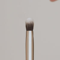 Fluffy Eye Brush