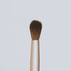 Detail Brush