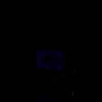 Carner Barcelona - Ibiza Nights