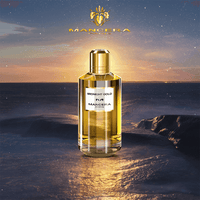 Midnight Gold - Skin / Scent
