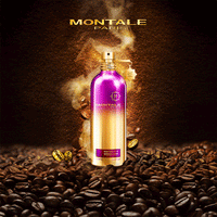 Thumbnail for Ristretto Intense Café (100 ml) - Skin / Scent