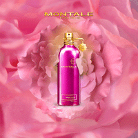 Thumbnail for Roses Musk (100 ml) - Skin / Scent