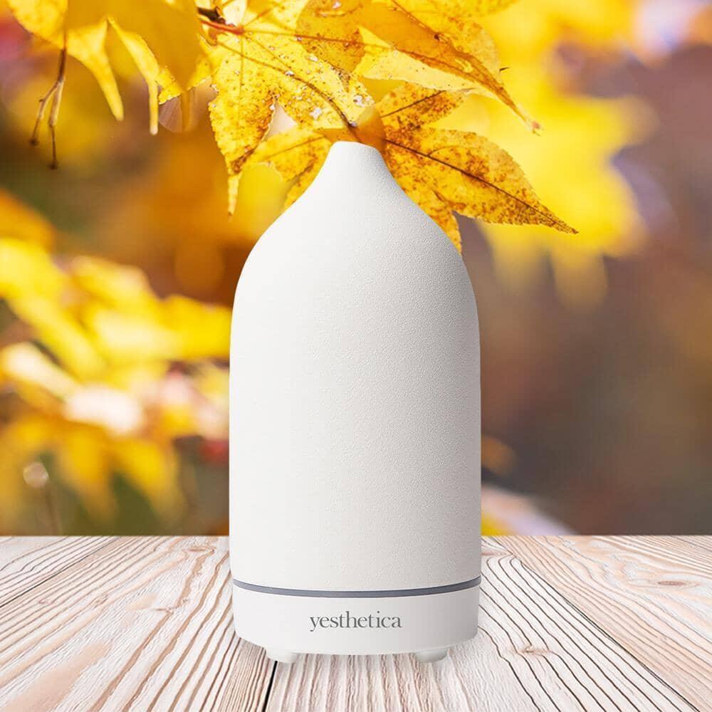 Yesthetica Stone Diffuser - Daylight White - Skin / Scent